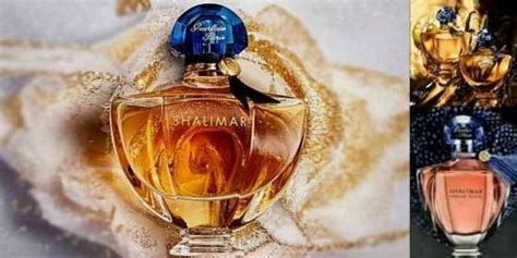 shalimar perfume review|shalimar perfume reviews and ratings.